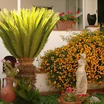 Mediterraneo فندق مبيت وإفطار 3*