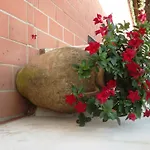 Mediterraneo فندق مبيت وإفطار أناكابْري