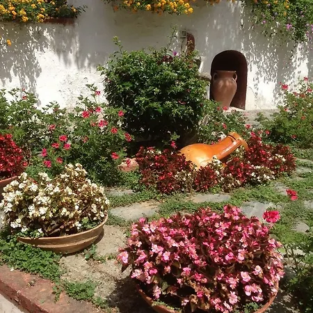 住宿加早餐酒店 Mediterraneo 阿纳卡普里