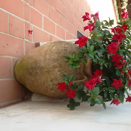 Mediterraneo Panzió Anacapri