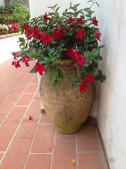 Mediterraneo 3* Anacapri (Isola di Capri)