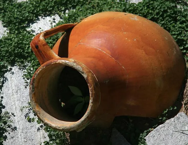 Bed & Breakfast Mediterraneo