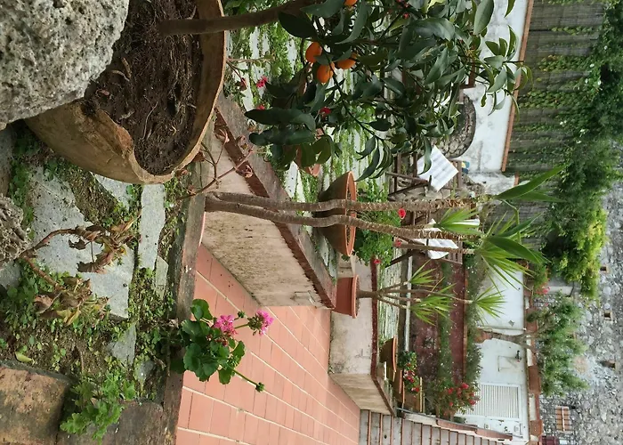 Bed & Breakfast Mediterraneo