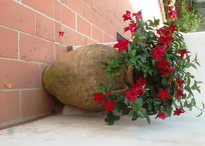 Mediterraneo Bed & Breakfast Anacapri (Isola di Capri)