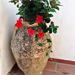 Mediterraneo Bed & Breakfast Anacapri (Isola di Capri)