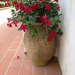 Mediterraneo 3* Ανακάπρι