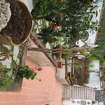 Mediterraneo Bed and Breakfast