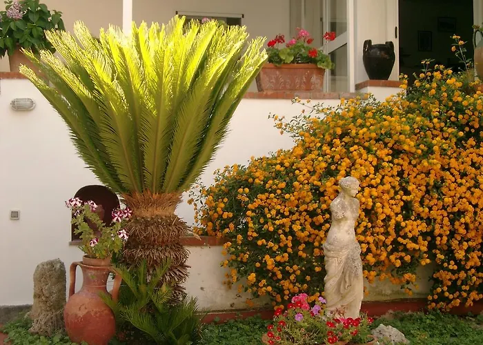 Mediterraneo Frühstückspension 3*