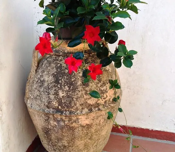 Mediterraneo Frühstückspension Anacapri (Isola di Capri)